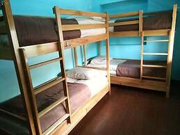 Art Garden Hostel and Tours