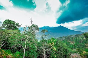 The New Munnar Summer Castle