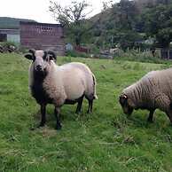 Penybryn Cottages