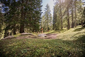 Alpenhotel Schlickeralm