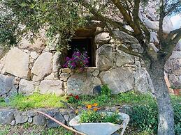 Il Nuraghe Del Lago Coghinas