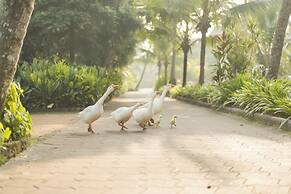 Lakesong Kumarakom