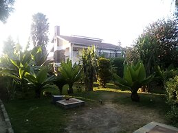 HomeBase Gardens