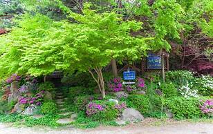 Cabin Town Pension
