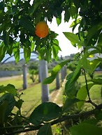 Hotel Puglia Garden
