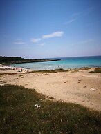 Onde e Gabbiani