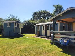 Safari Cornwall