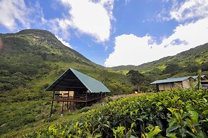 Wild Glamping