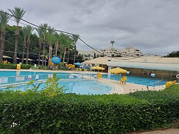 INDIGO TLV