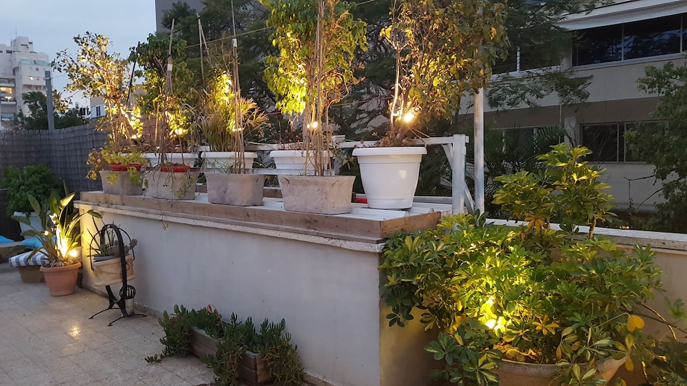INDIGO TLV