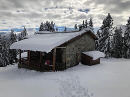 Tanevit Dag Evi