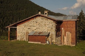 Tanevit Dag Evi
