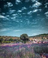 Vadi Alacati