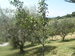 B&B Severini