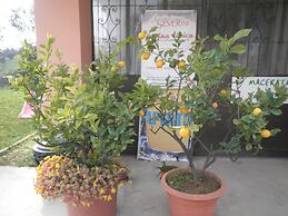 B&B Severini