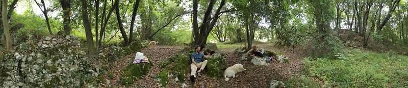 Bosque de Cuevas