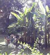 Bosque de Cuevas