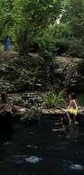 Bosque de Cuevas