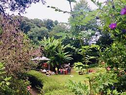Bosque de Cuevas