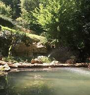 Bosque de Cuevas