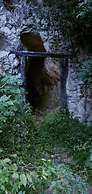 Bosque de Cuevas