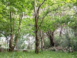 Bosque de Cuevas