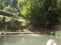Bosque de Cuevas