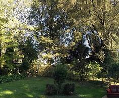 Bosque de Cuevas