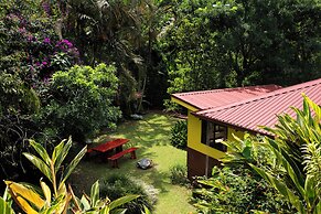 La Terraza Guest House B&B
