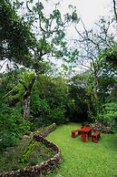 La Terraza Guest House B&B