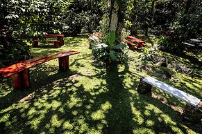 La Terraza Guest House B&B