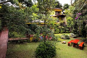 La Terraza Guest House B&B