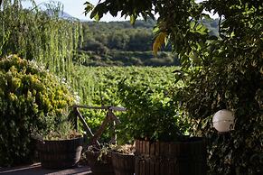 L'Antica Vigna