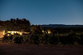 L'Antica Vigna