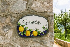 Terra Mia