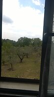 Farmhouse Paradiso