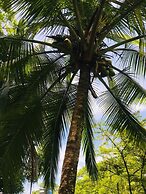All Rankins Eco-Lodge