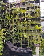 The Hub District Garden Suites