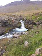 Brúnir