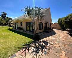 Aloe Tree