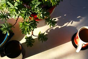 La Luna Hostel