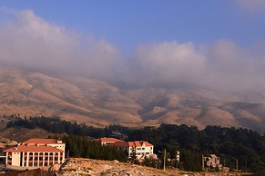Mountain View Cedars