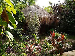 Ecohotel Las Palmeras