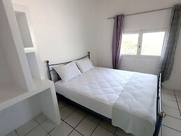 Sofia's House