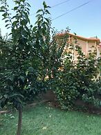 Hotel Villa Ago
