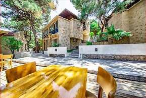 Ivy Sailing Resort