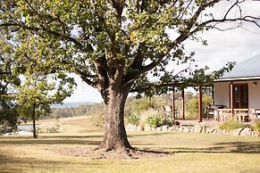 Audrey Wilkinson Vineyard