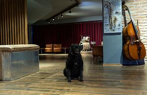 Jazz Hotel