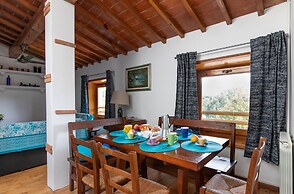 Eva Suite