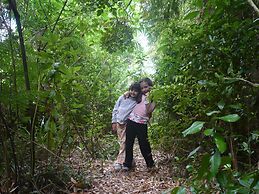 La Rueda del Chucao